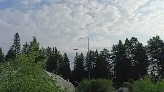 пугало от дроздов
