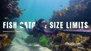 FISH LEGALLY & ETHICALLY | Know Your Fish Catch & Size Limits