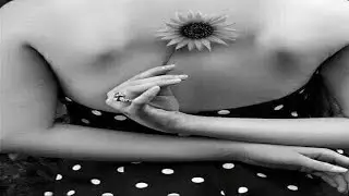 Donny & Marie Osmond - I'm Leaving It All Up to You  (lyrics on screen)