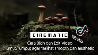 Cara Edit Video Cinematic aesthetic lumut/rumput yang lagi viral di tiktok_Video viral langsung Fyp