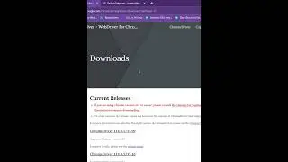 How to Install Chrome Driver for Python Selenium in Hindi