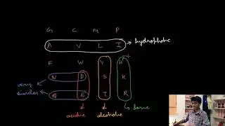 Easiest way to remember Amino acids based on their properties