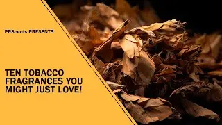 10 Great Smelling Fall Tobacco Fragrances You Should Try!!!