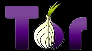 How to Download and Use Tor Browser to Access the Dark Web