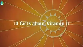 10 Facts about Vitamin D ☀ | Waterpedia 