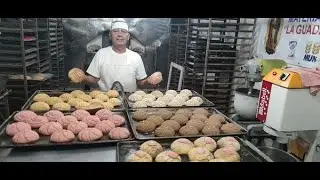 CONCHAS DE CHOCOLATE EN MAQUINA