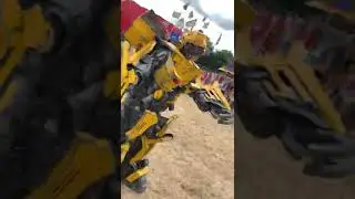 Bumblebee dancing