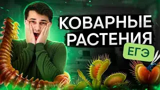 Коварные растения для ЕГЭ | Биология с Мишей Гис | ЕГЭ 2024 | SMITUP