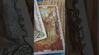 Послание высших сил в основном рыбам, ракам, скорпионам #tarofortune #tarot #futurereading #гадание