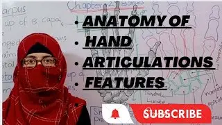 Anatomy of hand | Carpal bones| Metcarpal bone |Phalanges|features |Articulations| bd churasia