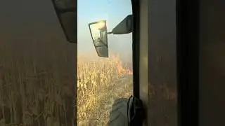 #fire