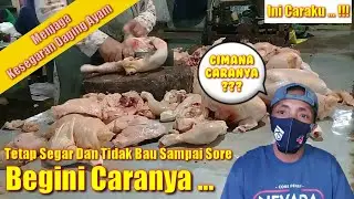 Cara Menjaga Daging Ayam Tetap Segar Sampai Sore Untuk Jualan Sayur Keliling