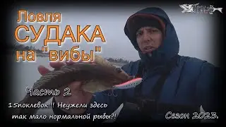 Ловля судака на вибы. 15 поклевок!!! Часть 2. Сезон 2022-23