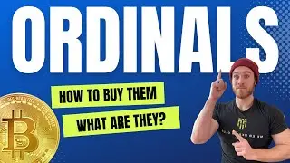 Bitcoin ORDINALS | What they are & how to make money from them