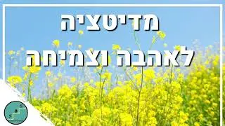 מדיטציה לשחרור דאגות והגברת רוגע