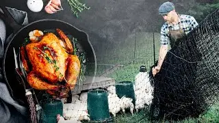 Spend $1,000 on Chickens, Get 100s of Pounds of Meat