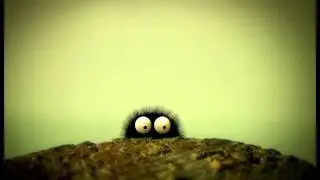 Насекомые Паук черный  Неудачи