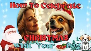 How to Celebrate Christmas With Your Dog