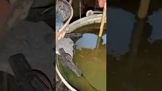 WE POUR SHOT INTO A BUCKET WITH LIQUID. The process is going on, slowly but efficiently)))