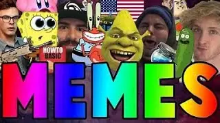 Daily dose of Memes pt:1