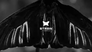 STREIN WEAR