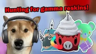 Will we find gamma cinnaboo today?