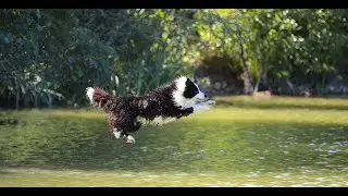 Waterfun with Sido