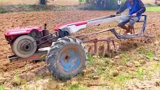 Agriculture Field / Ploughing Rice Field #agriculturetechnology #agriculturelife