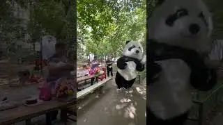 Амиго спешит на День рождения #panda #umka #Амиго #Умка #dance #umkarostov #мишкаумка #амиго