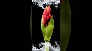 💖Медитация На Привлечение Мужчины! ОСТОРОЖНО очень мощная