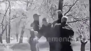 Чанг кати мулисахо #чорний_делфин
