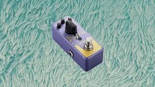The Donner Stylish fuzz is pretty cool for the price! @Donnermusic_Official #guitar #guitarpedal