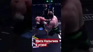 Магомед Нальгиев в атаке на Наше Дело