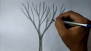How To Draw a tree with pencil Best technique Step By Step Easy