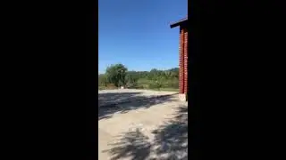 Альбина Двояшкина в прямом эфире!