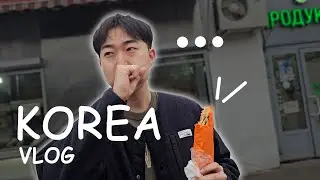 Накормили Корейца Шаурмой [KOREA VLOG]