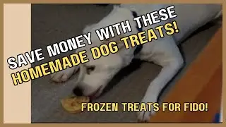 Homemade Frozen Dog Treats Keep Your Pet and Wallet Happy