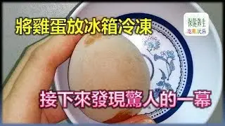 將雞蛋放冰箱冷凍,接下來發現驚人的一幕