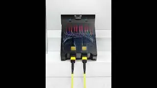 AMPCOM MPO to MPO Fiber Optic Trunk Cable