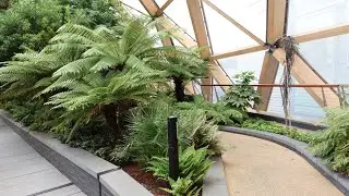 Uncover the Hidden Rooftop Garden Oasis in Canary Wharf