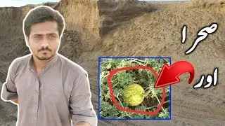 Humari zameen shara mai aur wahan pay kuch ajeeb chez | Ali Maken Tv