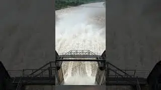 #bargidam