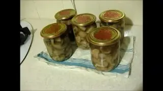 Как мариновать лесные грибы на зиму