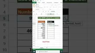 Add a Zero in Front of a Number | Muabi Design