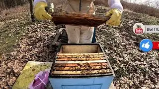 Пасека. Работы по расширению в марте 