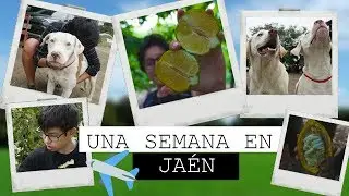 UNA SEMANA EN JAEN | HAPPY DAY