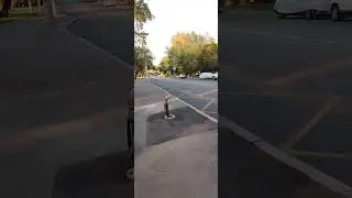 Вышла проехаться на самокате 🛴