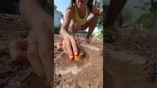 He GOT a DIRTY CAKE for his PRANK 🤢🧁🤣 