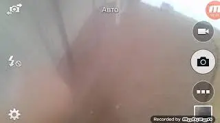 Моя шиншила :3
