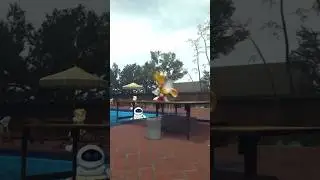 Tails Fails His Pool Jump [SFM Fails]